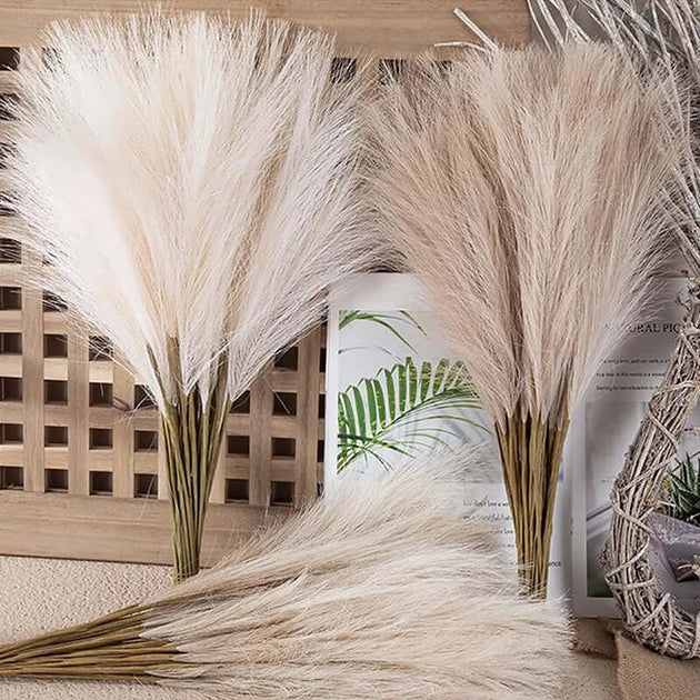 Fluffy Pampas Grass - A Festive Touch for Any Occasion econXpress