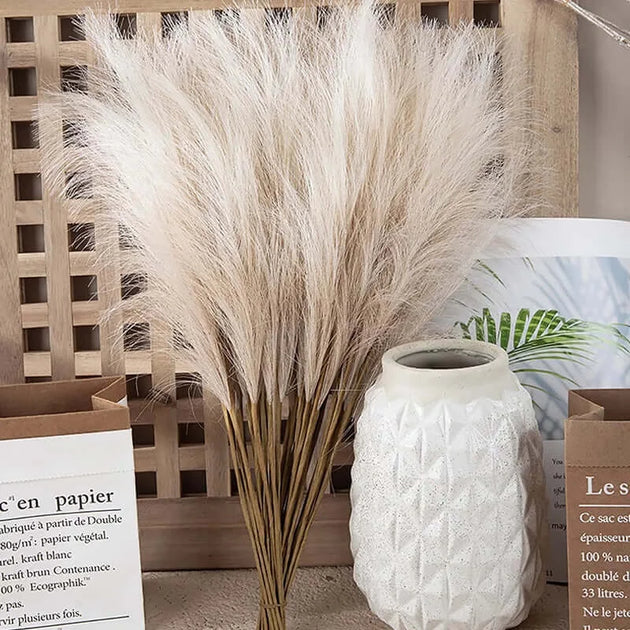 Fluffy Pampas Grass - A Festive Touch for Any Occasion econXpress